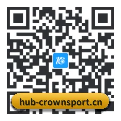 iOS 苹果生态原生版 二维码